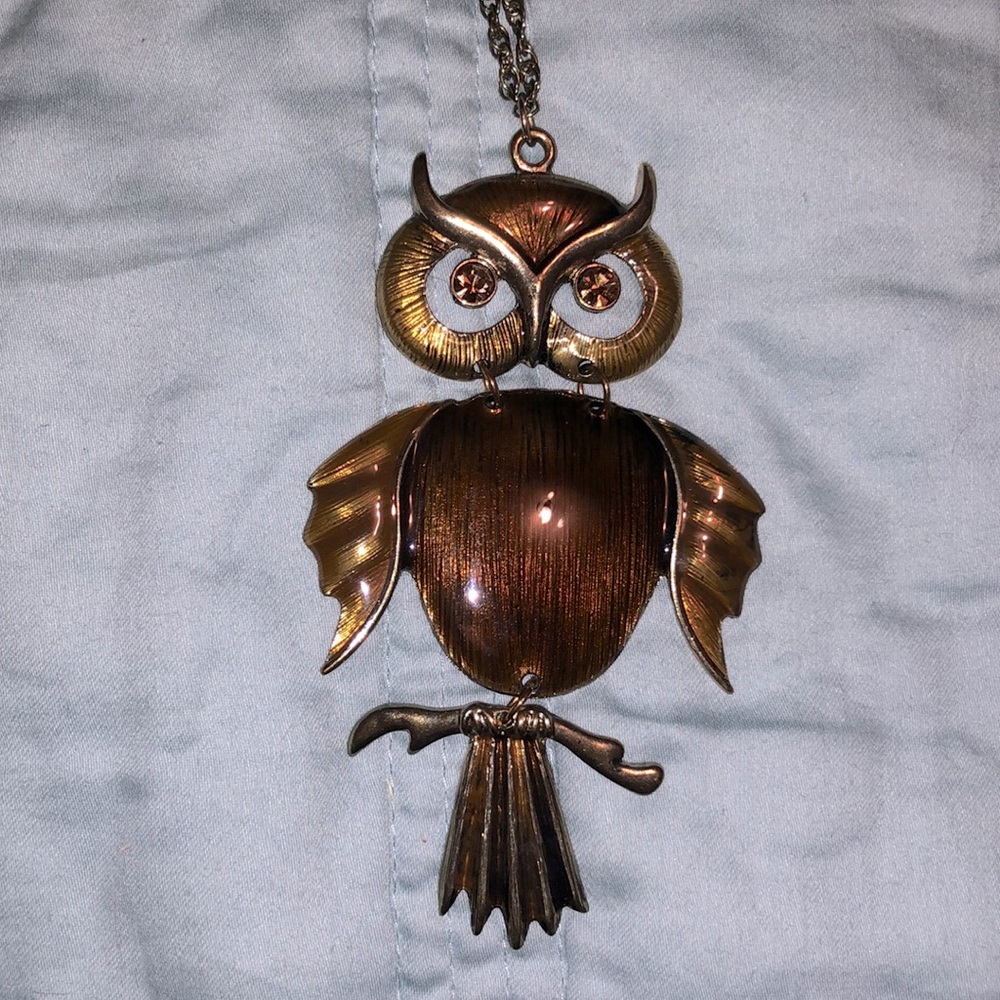 Long Owl Charm Necklace
